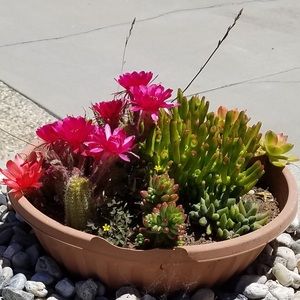 Meet your Posher, Huong